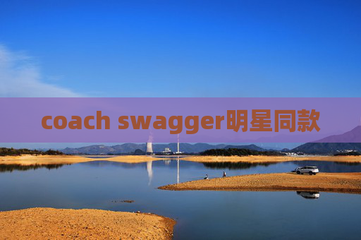 coach swagger明星同款